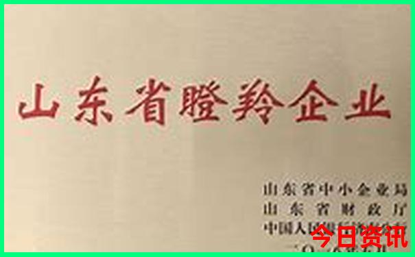 山东哪个城市夏天最凉快