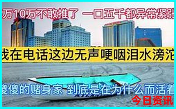 金华自驾游免费景点
