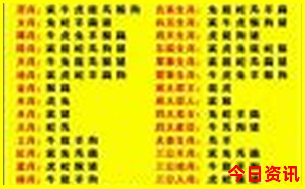 合肥半天时间去哪里玩